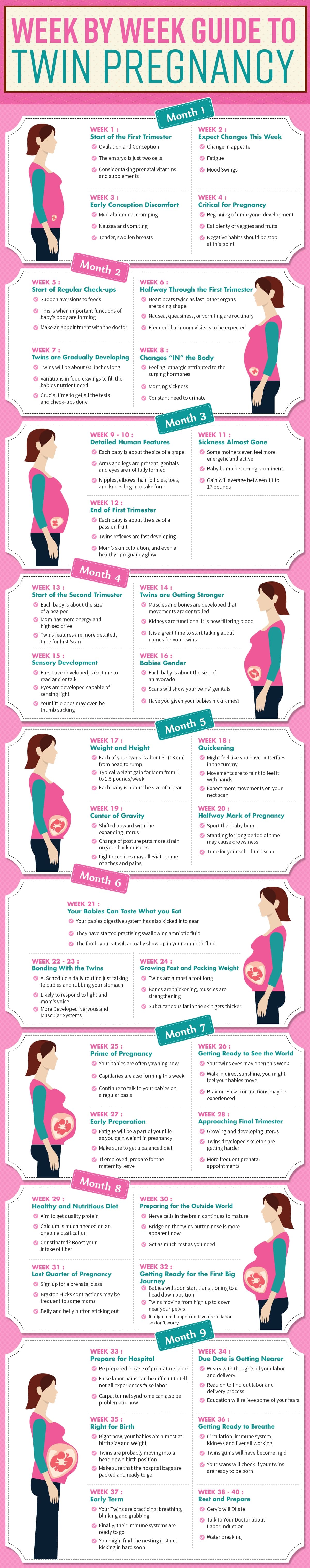Pregnant Belly Stages With Twins All For One Pregnant Belly Stages With Twins All For One