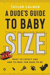 dude dad top pregnancy book for dads