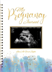 top pregnancy book pregnancy journal
